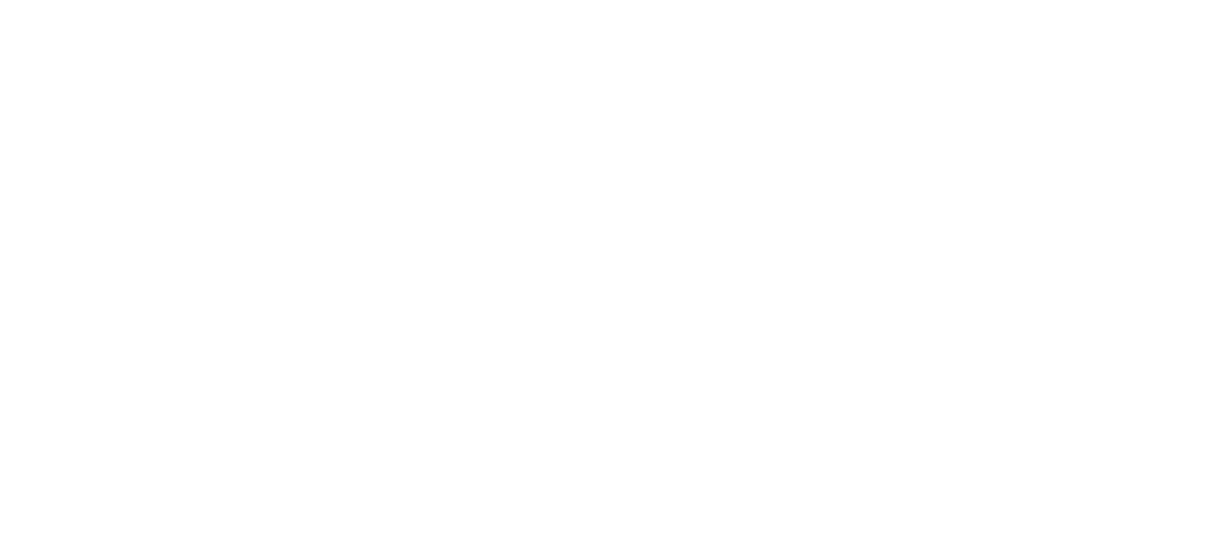 PTX White Logo